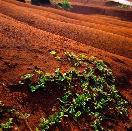 《蓝色反射：燦》新截图公布 游戏进入Beta封测
