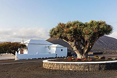 《完蛋我被美女包围2》全新截图 更多美女加盟！